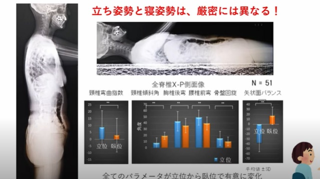 立ち姿勢と寝姿勢の違いについて オーダーメイド枕の山田朱織枕研究所