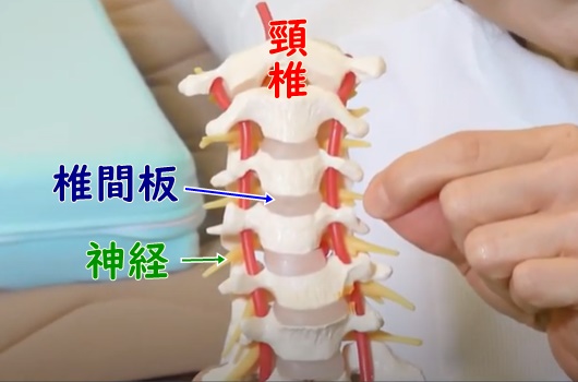 横向きで寝ると腕がしびれる 寝て起きたら腕が痛いのはどうして オーダーメイド枕の山田朱織枕研究所