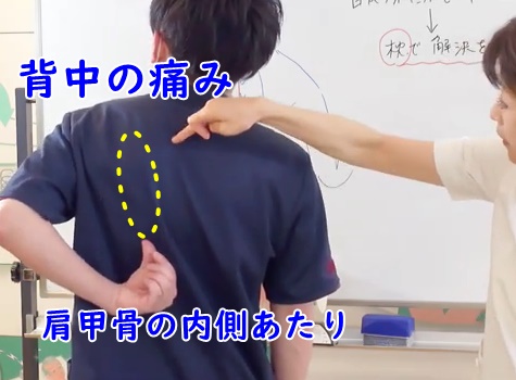 背中の痛みの原因は首かも 部位別症状と原因の解説 オーダーメイド枕の山田朱織枕研究所